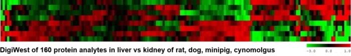 Image of DigiWest Protein Profiling in Multiple Species