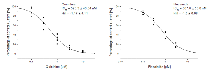 Quinidine and Flecainide effect on hERG channel currents in CHO cells