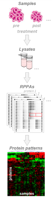 RPPA | NMI TT Pharmaservices
