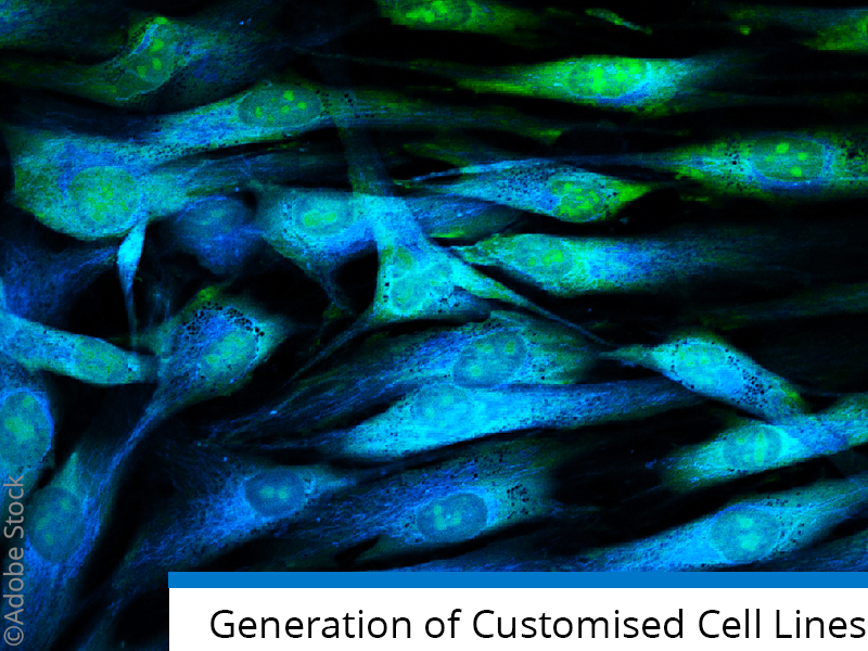 Custom Stable Cell Lines | NMI TT Pharmaservices