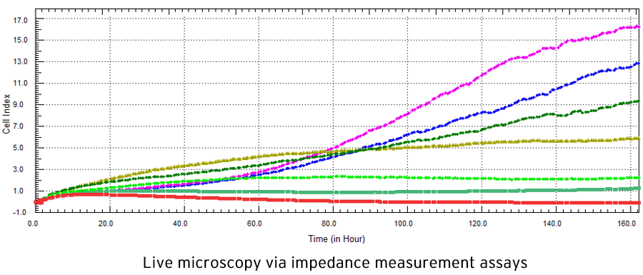 Cell-based Assays | NMI TT Pharmaservices