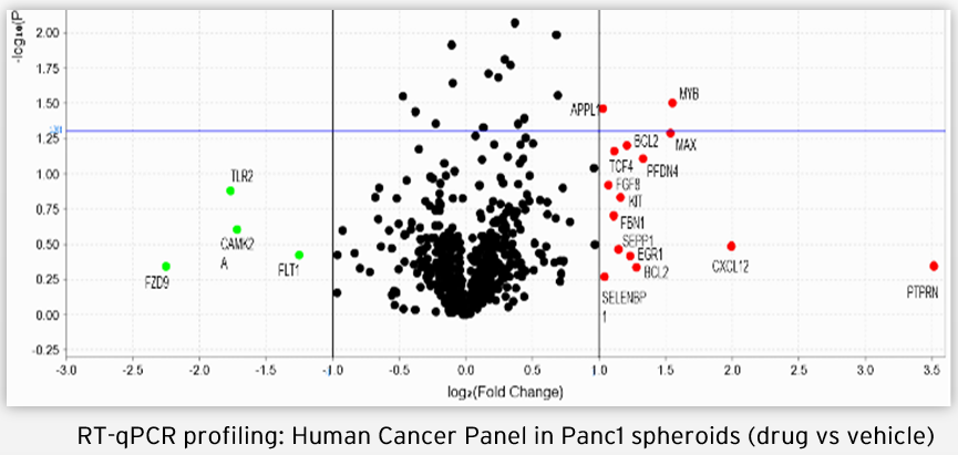 Cell-based Assays | NMI TT Pharmaservices