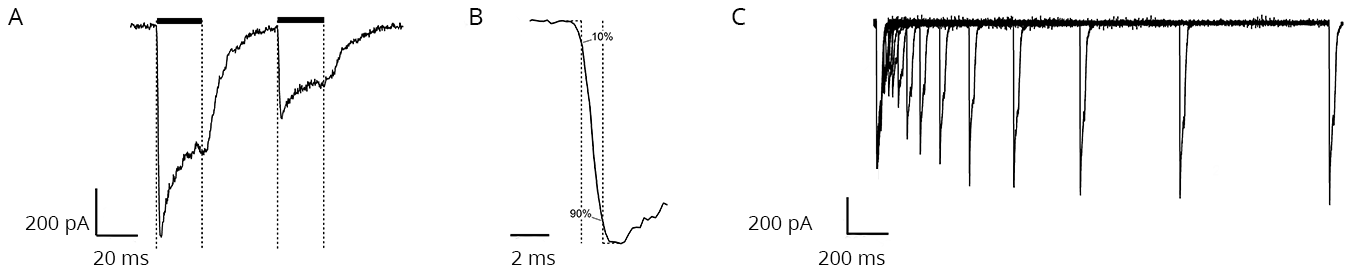 Fast double pulses reveal recovery from desensitization
