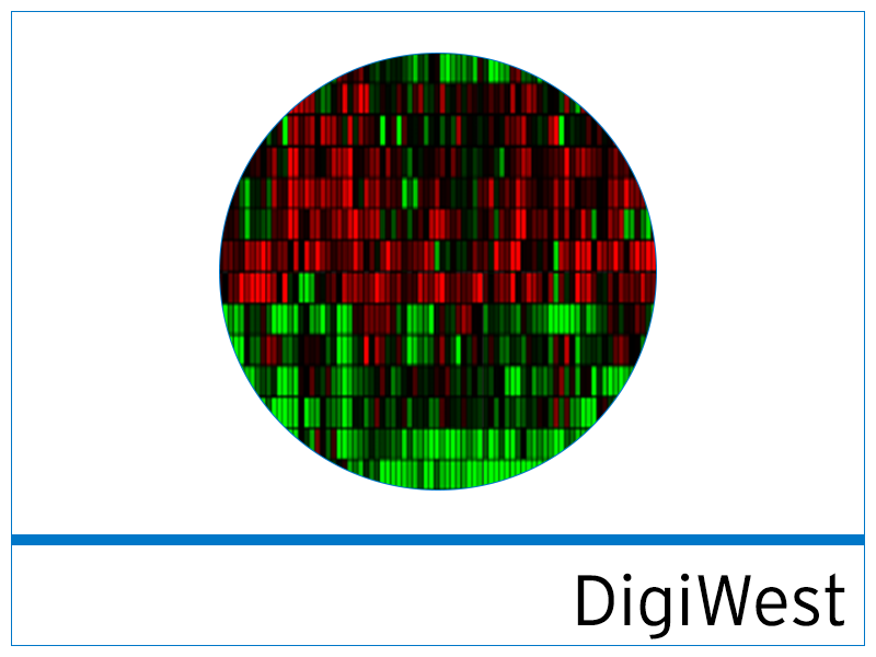 Up to 800 total and phosphoproteins from 20-60 ug of sample