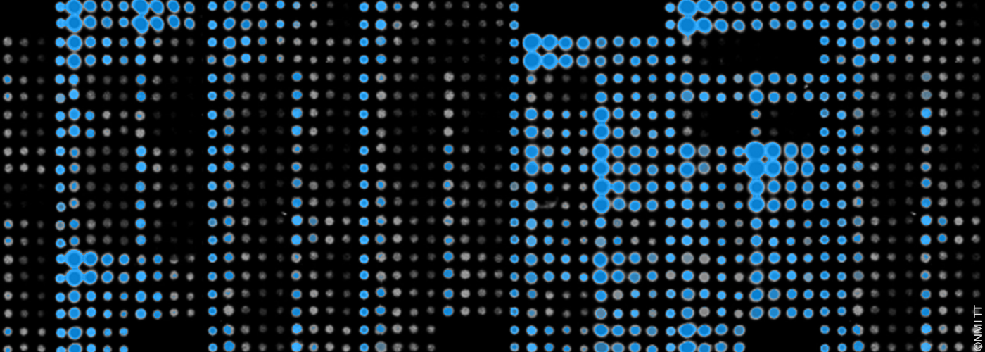 Protein Profiling Services